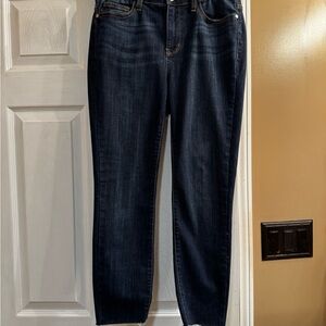 Ladies size 9 Judy Blue Skinny Fit jeans cut to 25 inch inseam